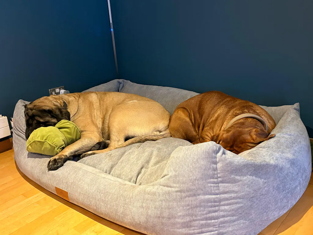 The Ultimate - Eco Friendly Orthopaedic Luxury Dog Bed, Oatmeal Beige