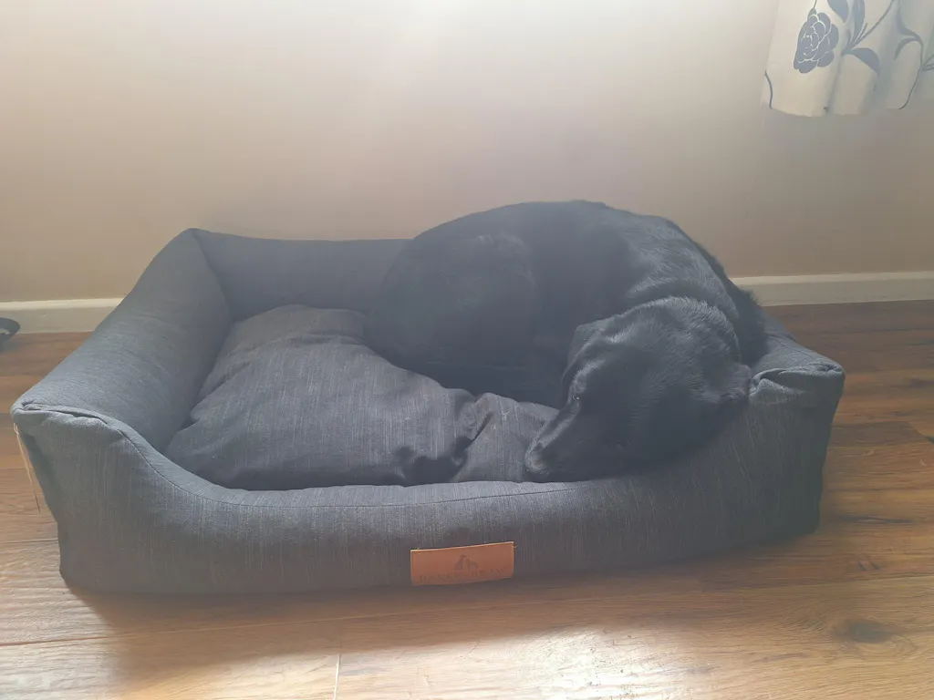 The Ultimate - Eco Friendly Orthopaedic Luxury Dog Bed, Slate Grey