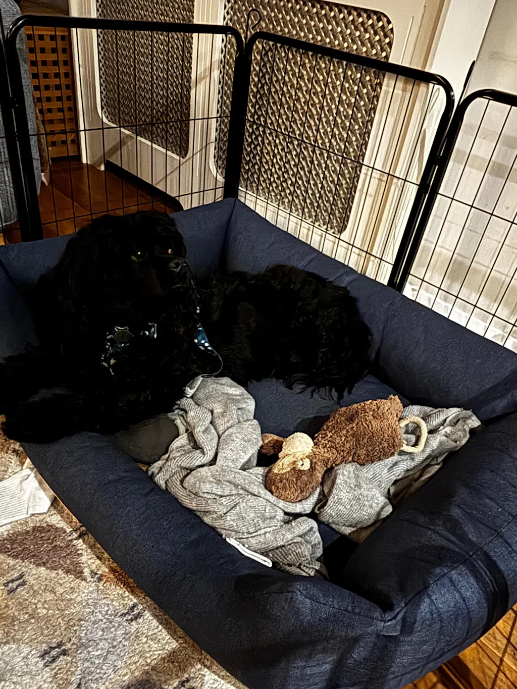The Comfort - Eco Friendly Orthopaedic Luxury Dog Bed, Navy Blue