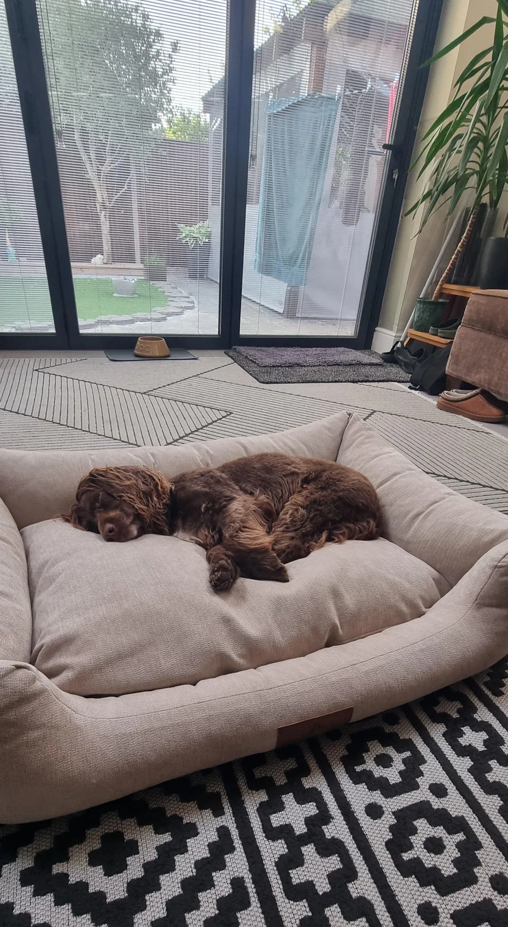 The Ultimate - Eco Friendly Orthopaedic Luxury Dog Bed, Oatmeal Beige