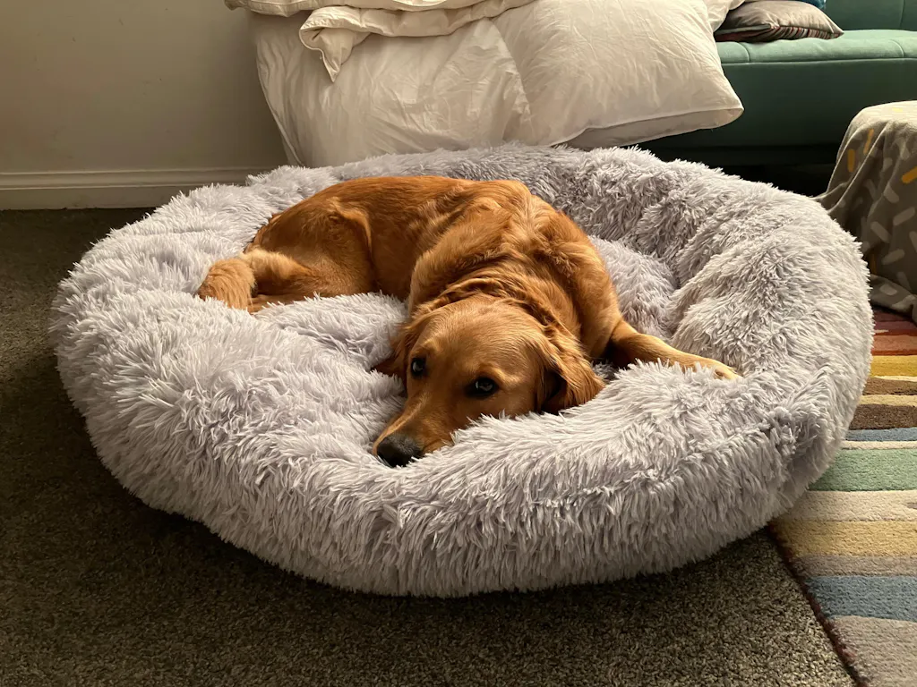 The Donut - Eco Friendly Luxury Calming Donut Dog Bed, Light Grey