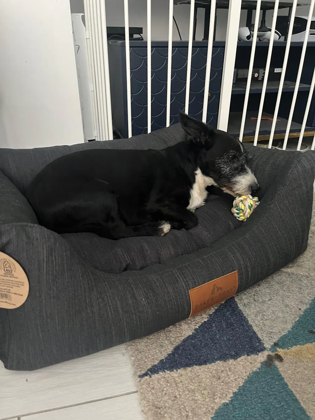 The Ultimate - Eco Friendly Orthopaedic Luxury Dog Bed, Slate Grey