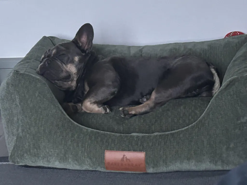 The Ultimate - Eco Friendly Orthopaedic Luxury Dog Bed, Peach Fuzz