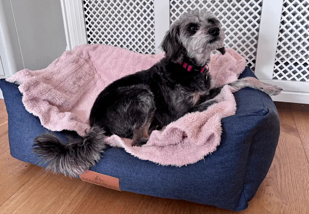 The Comfort - Eco Friendly Orthopaedic Luxury Dog Bed, Navy Blue