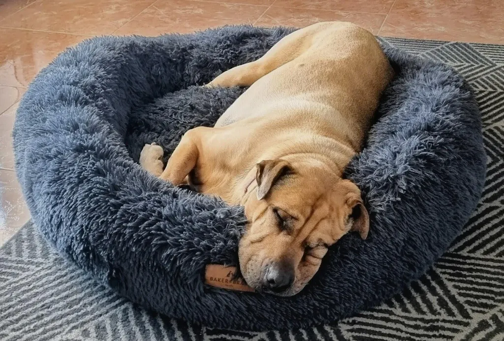 The Donut - Eco Friendly Luxury Calming Donut Dog Bed, Dark Grey