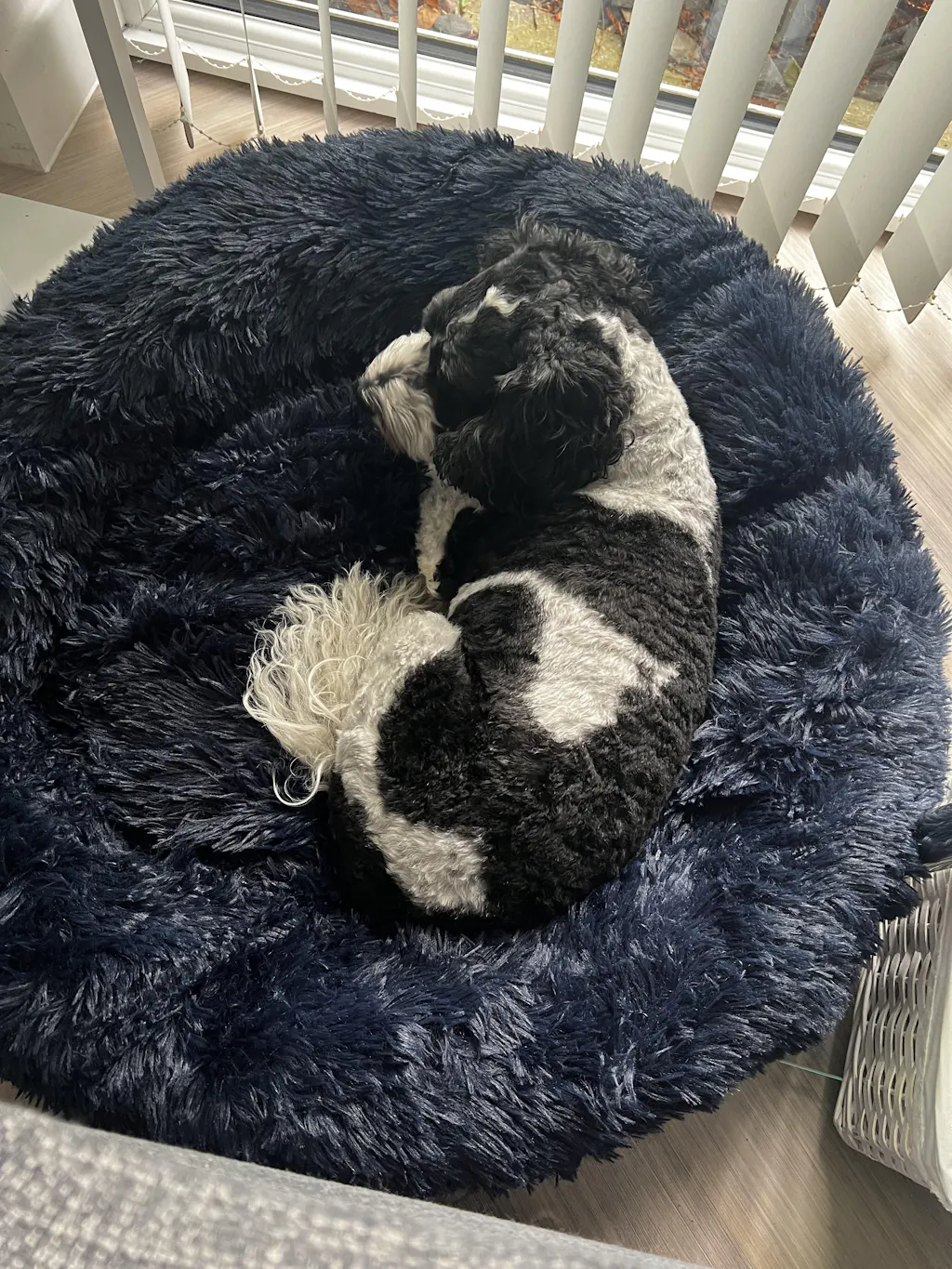The Donut - Eco Friendly Luxury Calming Donut Dog Bed, Navy