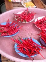 Afbeelding gebruiker