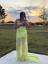 Elegant Sparkle Brown Mermaid Court Train V-neck Sleeveless Prom Dresses