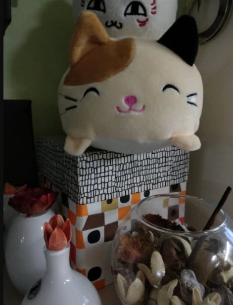 squishy chubby cute cat plush toy