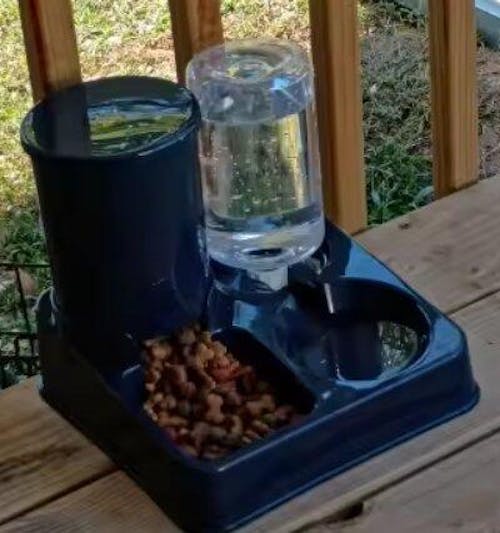 Automatischer Futter- und Wasserspender - Komfort und Erleichterung im Alltag