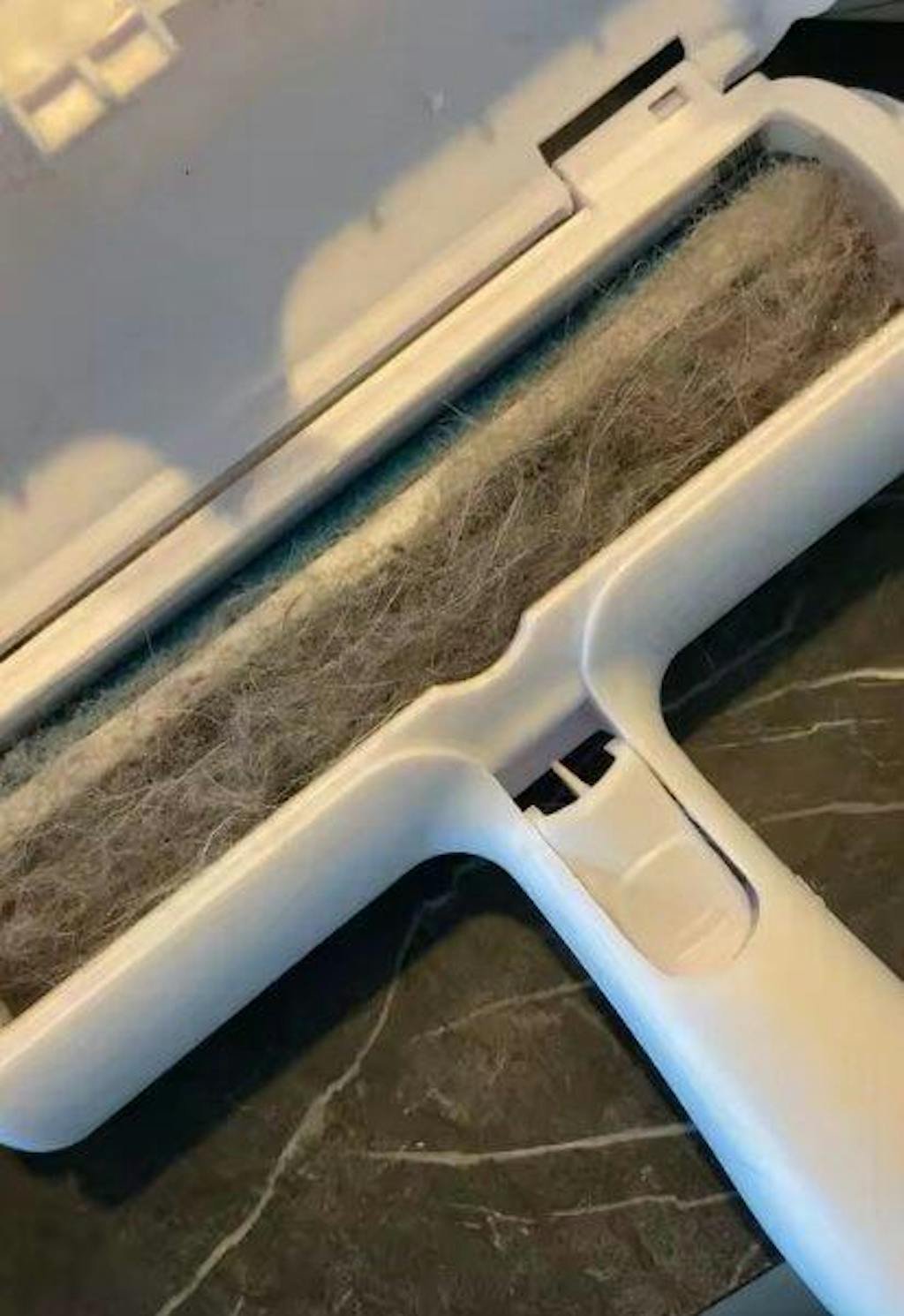 Tierhaar-Entferner - Sag Tierhaaren den Kampf an