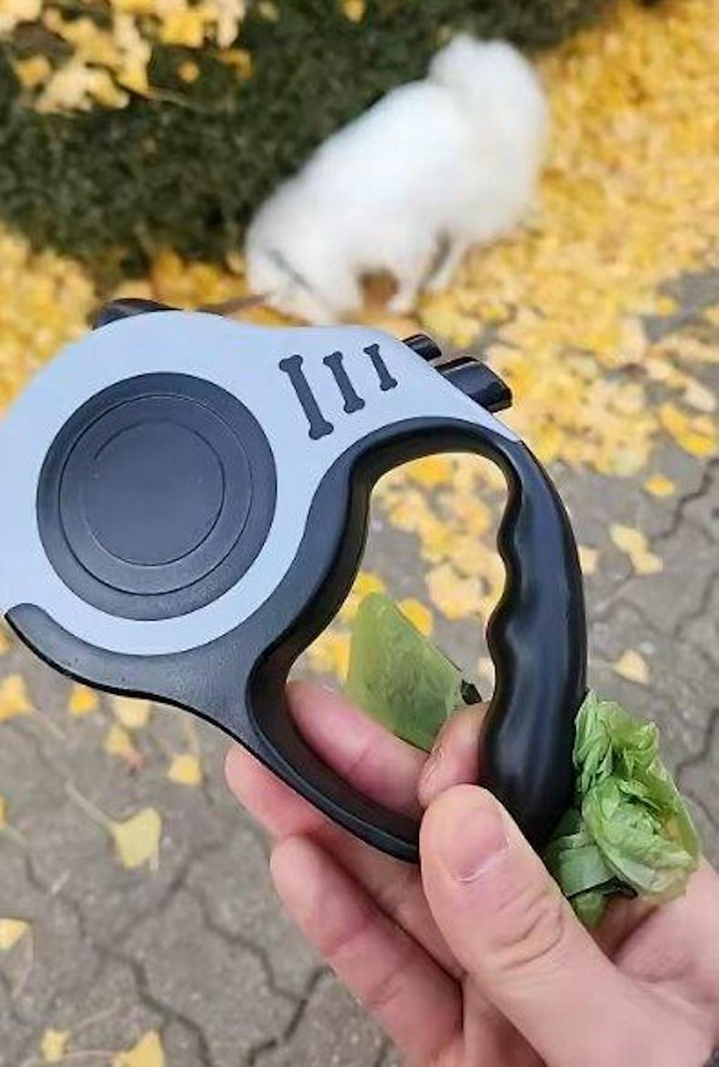 Ausziehbare Hunde-Rollleine -3m & 5m mit Komfortgriff