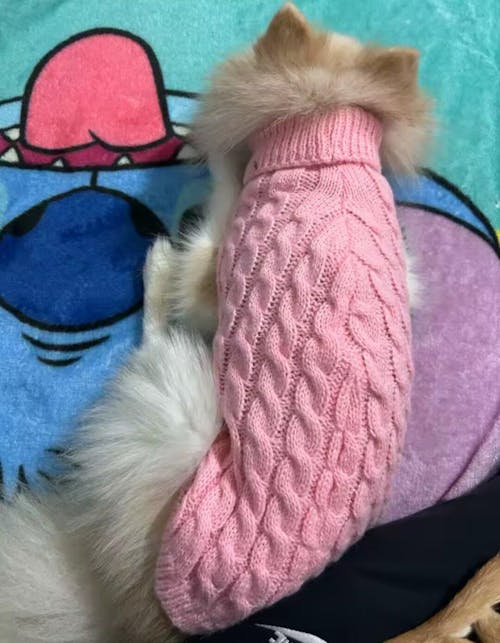 Warmer Hunde-Strickpullover – weich, elastisch & perfekt für kalte Tage