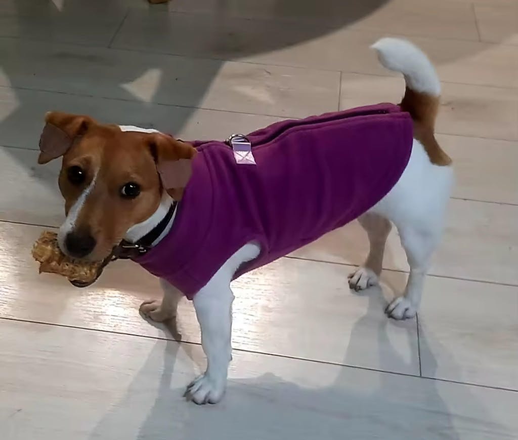 Übergangsweste aus Fleece mit integriertem Leinenring