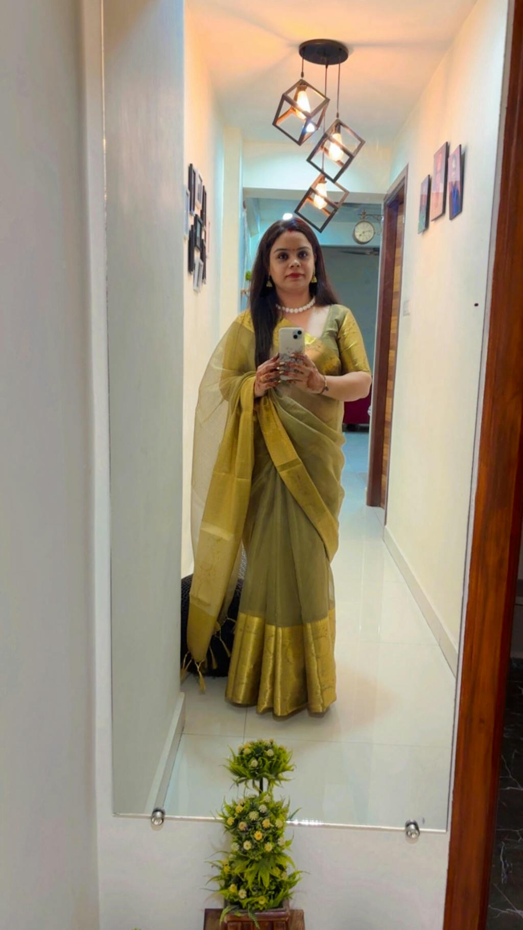 Banarasee Handwoven Plain Tissue Skirt Border Saree-Grey