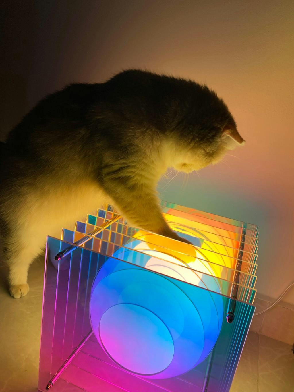 Lớp big square in dreamy acrylic