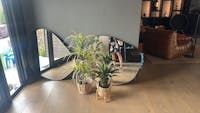 100 x 88cm Organic Shaped Aluminium Mirror