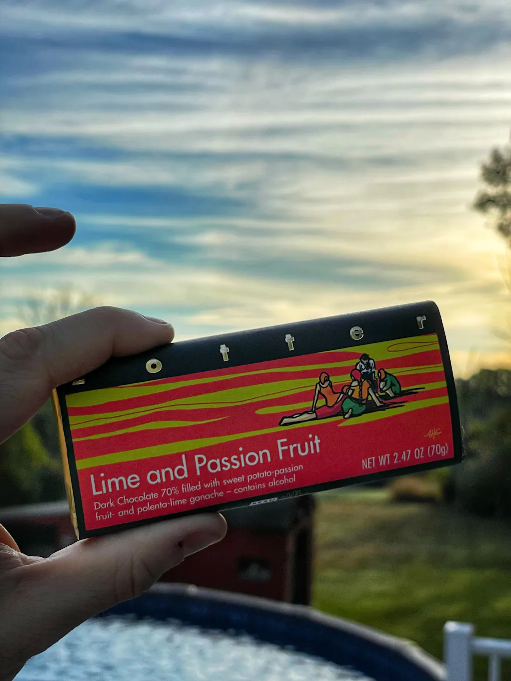 Zotter Lime & Passion Fruit 70% Filled Chocolate Bar – Bar & Cocoa