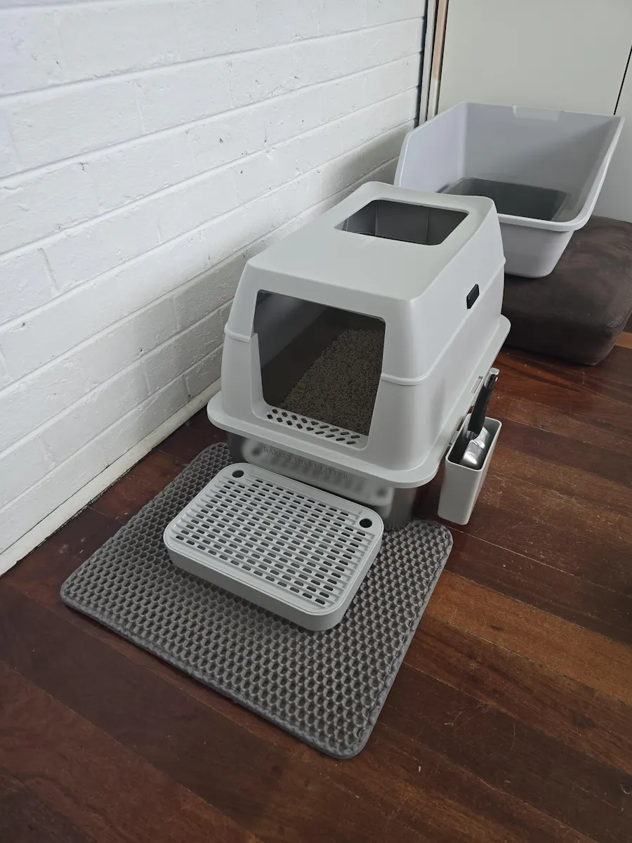 Customer setup with Barely There Litter enclosed box