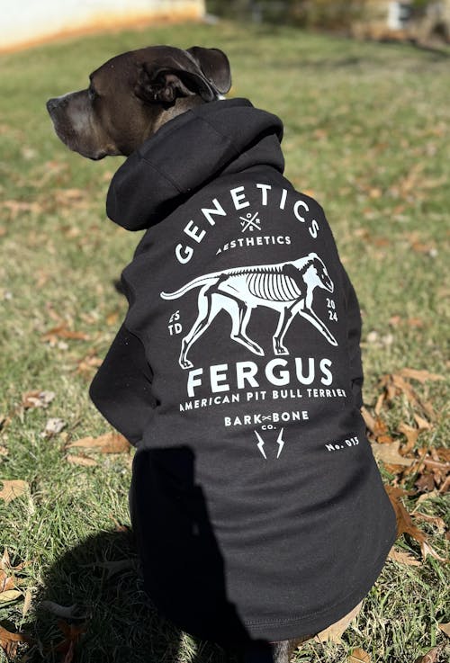 The Original Bone Hoodie