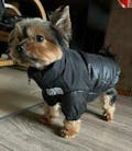 The DogFace™ Puffer Jacket