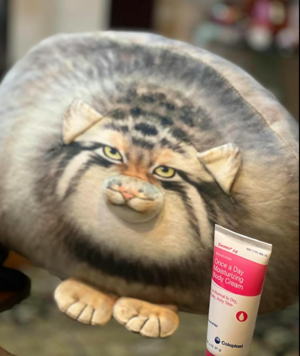 3D Pallas Cat Plush – Barkermeow