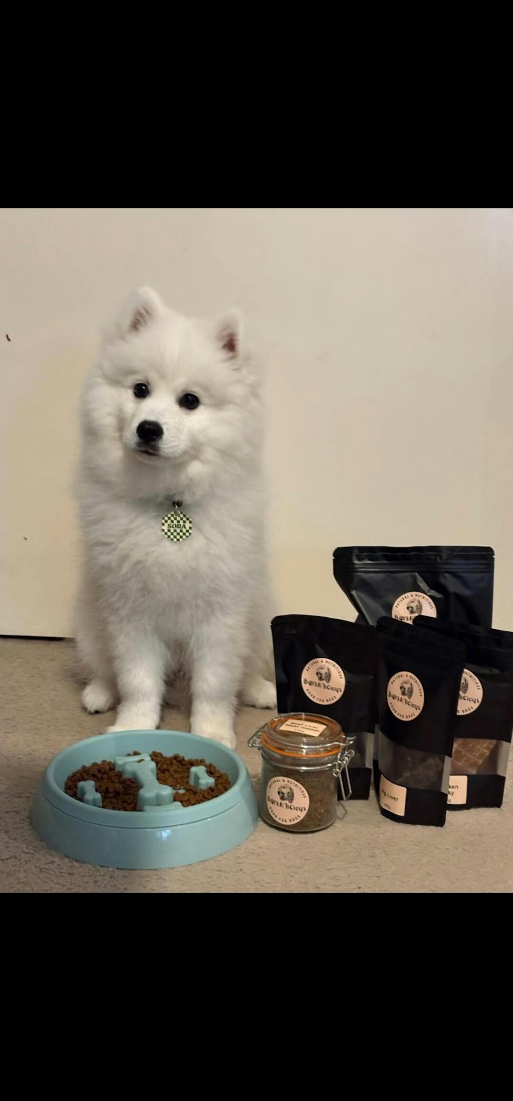 Barkn'licious Dog Treats