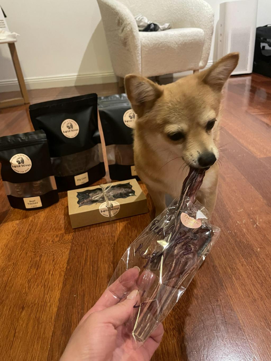 Treat Gift Box - Puppy