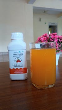 Sea Buckthorn Pulp Juice – 300ml | Rich in Vitamin C, Omega 3,6,7,9 & Antioxidants | 100% Pure & Organic | Natural Immunity Booster