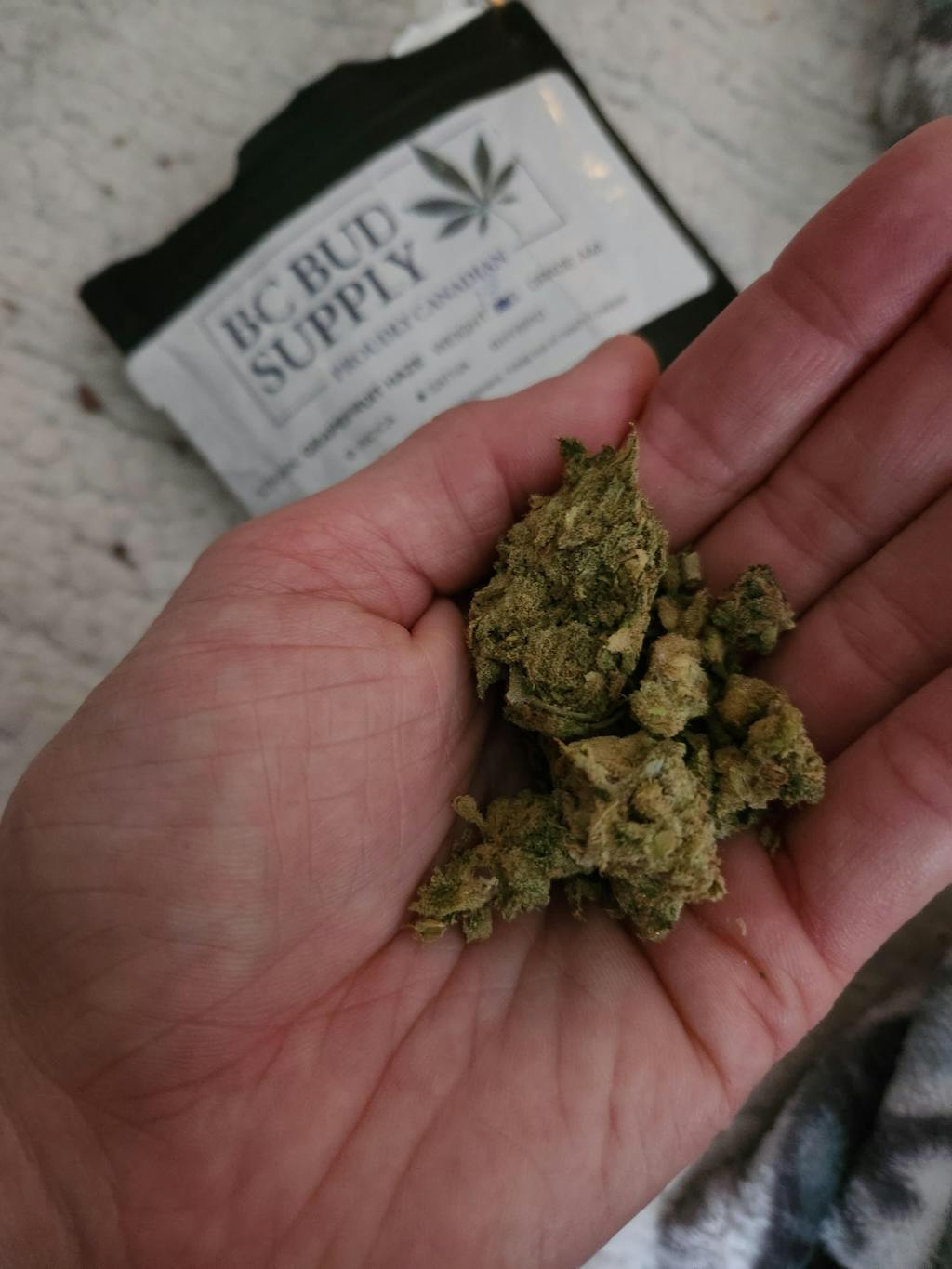 Grapefruit Haze (AAA) BC Bud Supply