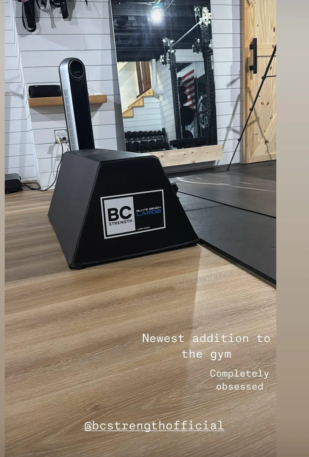 Bc Strength Glute Bench