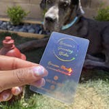 Clear Transparent Plastic Business Cards | 1-3 color of foils