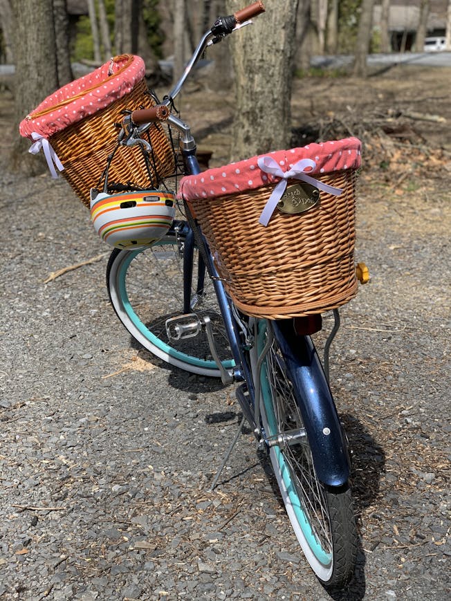 Beach & dog co large rear mount willow bicycle basket for dogs hotsell