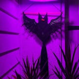 Macrame Wings Wall Hanging macrame cord for Halloween wall decor and gothic style V12