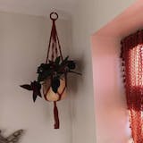 Macrame Plant Hanger Handmade for Indoor Plants and Boho Decor I31