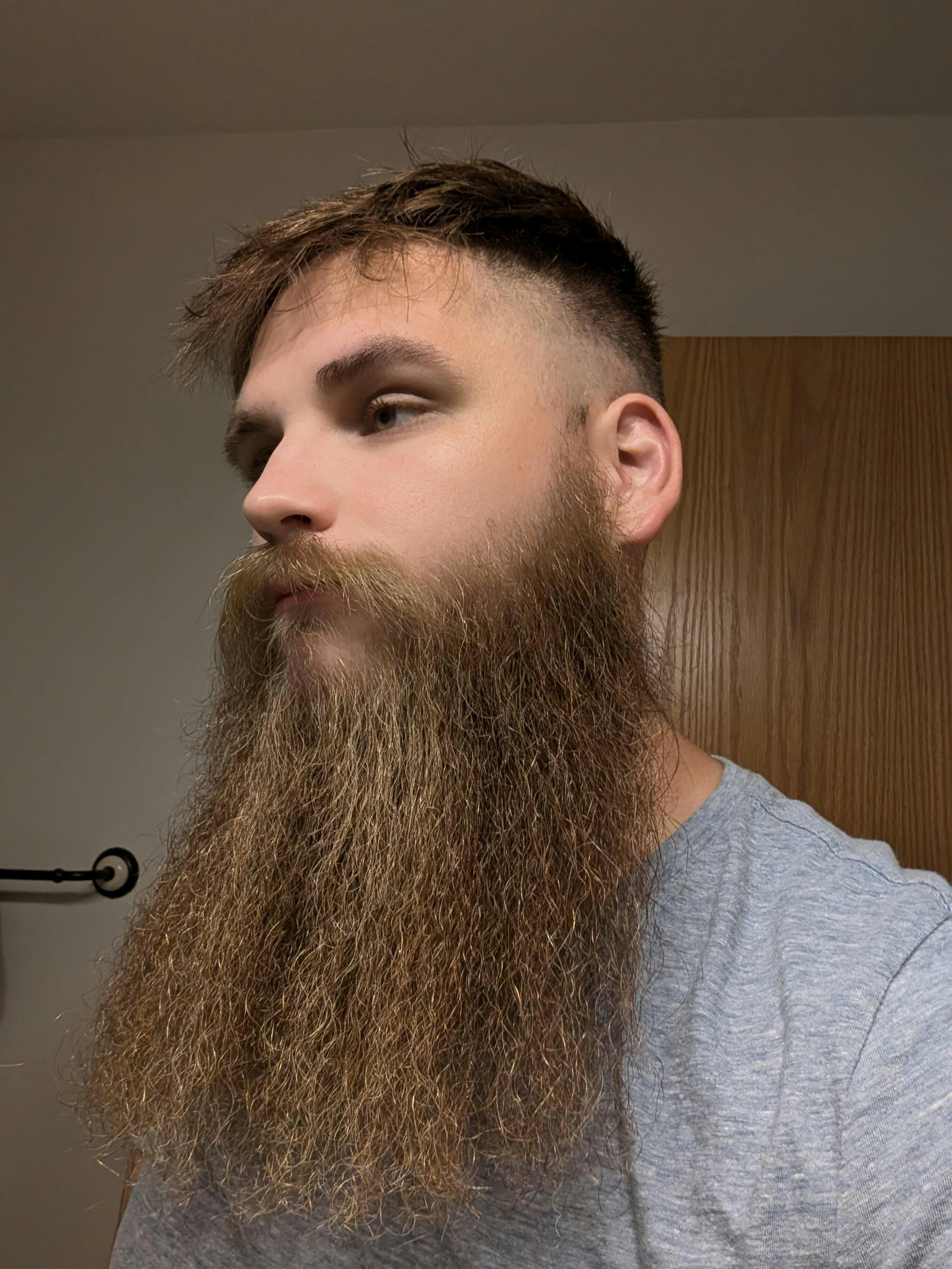 Ginger Jamboree Beard Oil for Men Buy Beard Octane Beard Octane