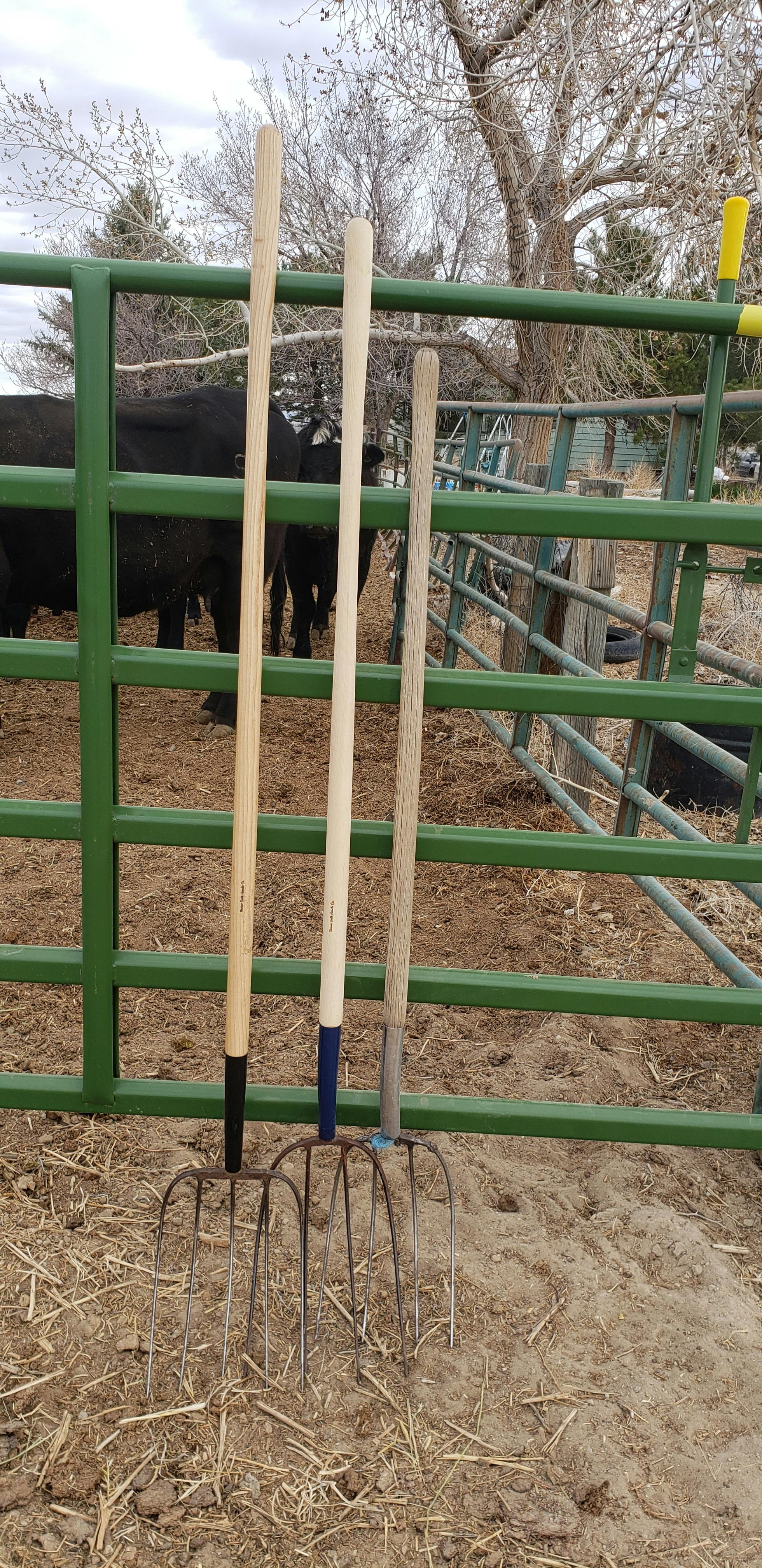 Beaver Tooth Bent Pitch Fork / Manure Replacement Handle 3 lengths to