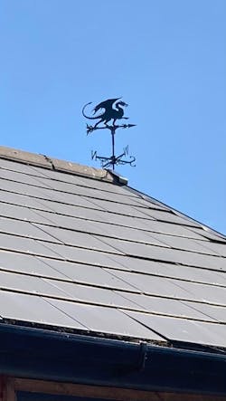 Dragon Stainless Steel Weathervane