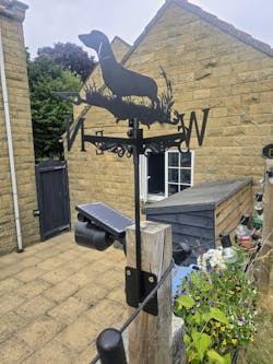 Dachshund Stainless Steel Weathervane
