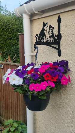 Two Border Collies Metal Hanging Bracket Plant Stand