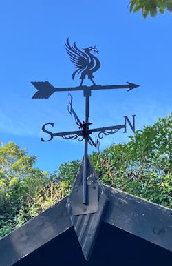 Liver Bird Stainless Steel Weathervane
