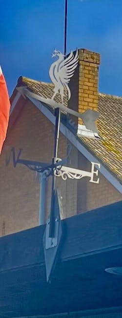 Liver Bird Stainless Steel Weathervane