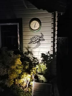 Marine Animal Sea Turtle Metal Wall Art