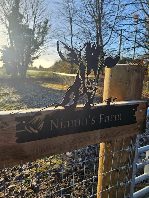 Custom Love Birds Garden Yard Metal Wall Art Decoration