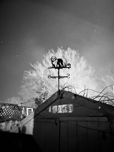 Old English Sheepdog Stainless Steel Weathervane