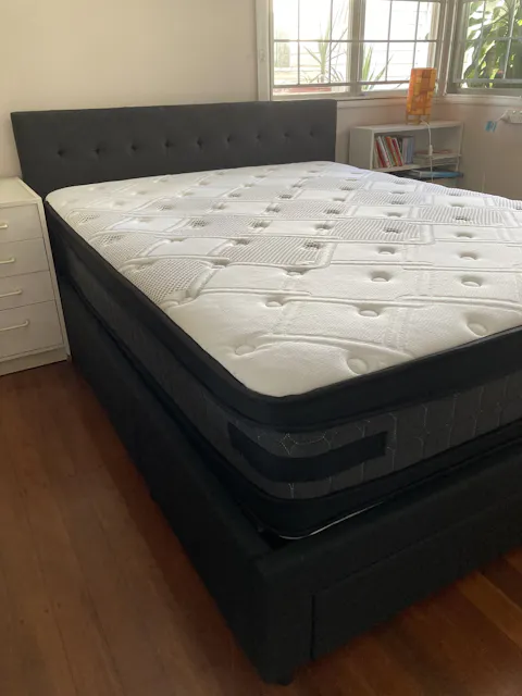 Bedzy Australia