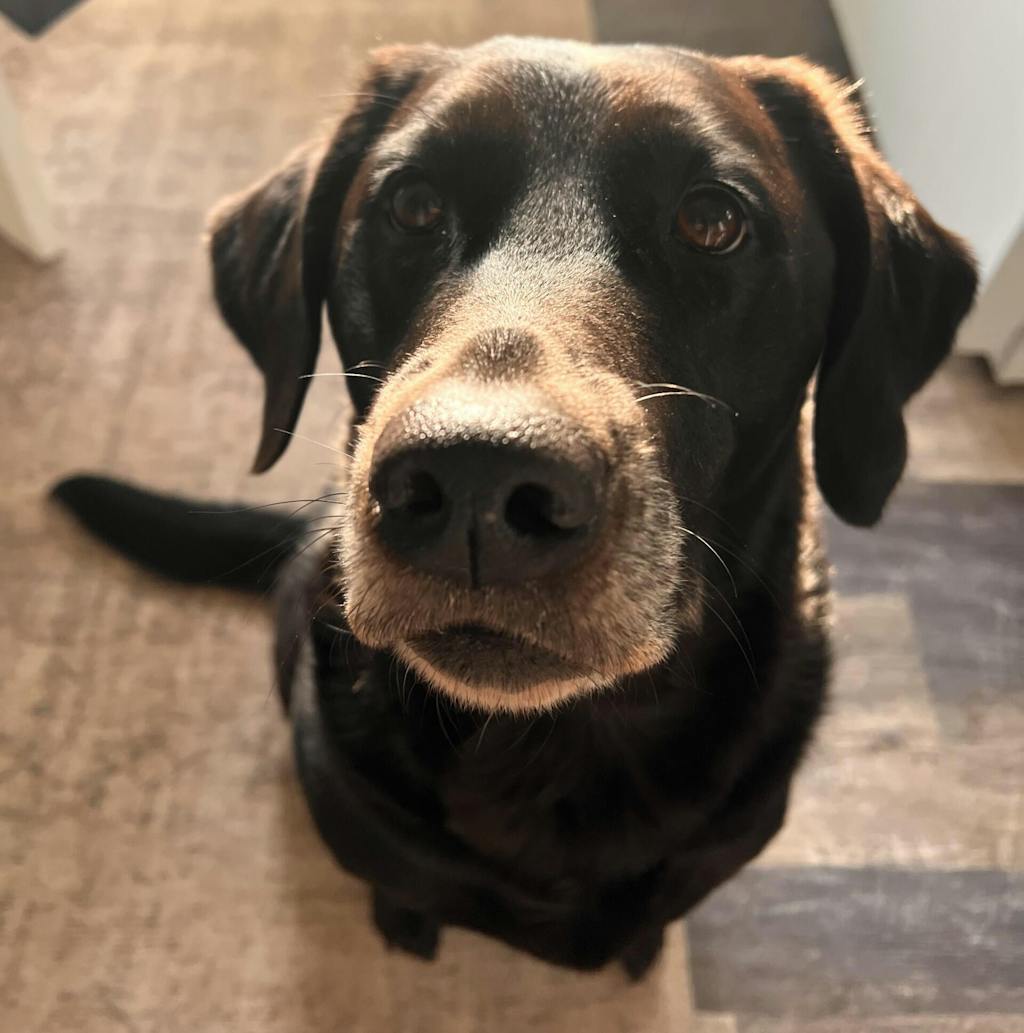 Beeb’s Pocket Tube