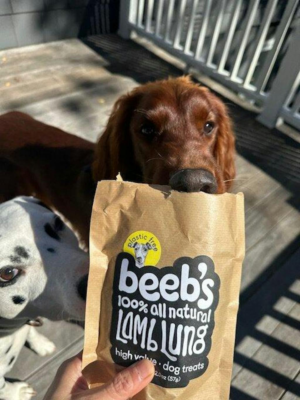 Beeb’s Refill Bag