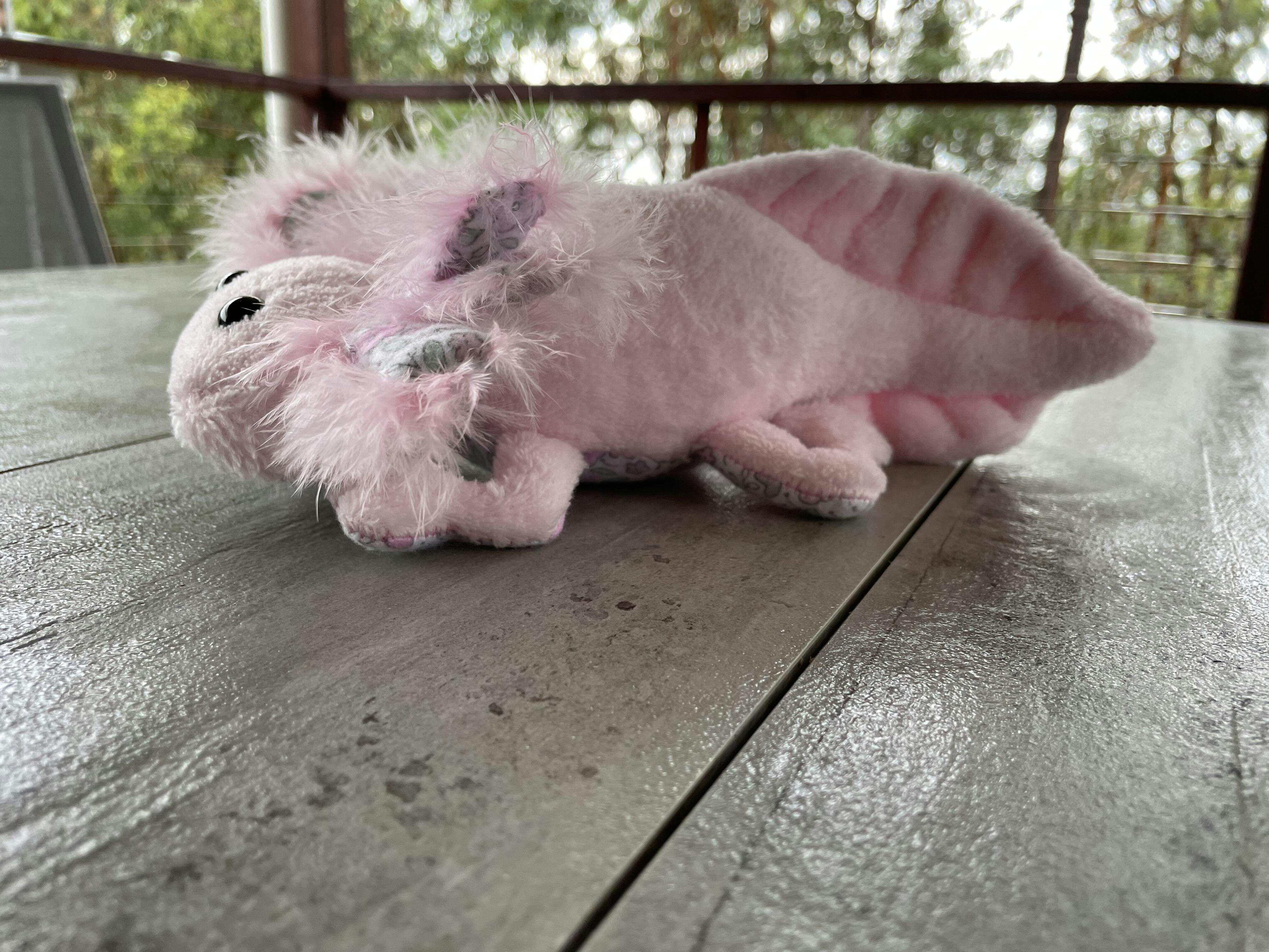 Axolotl Stuffed Animal Sewing Pattern - Digital Download