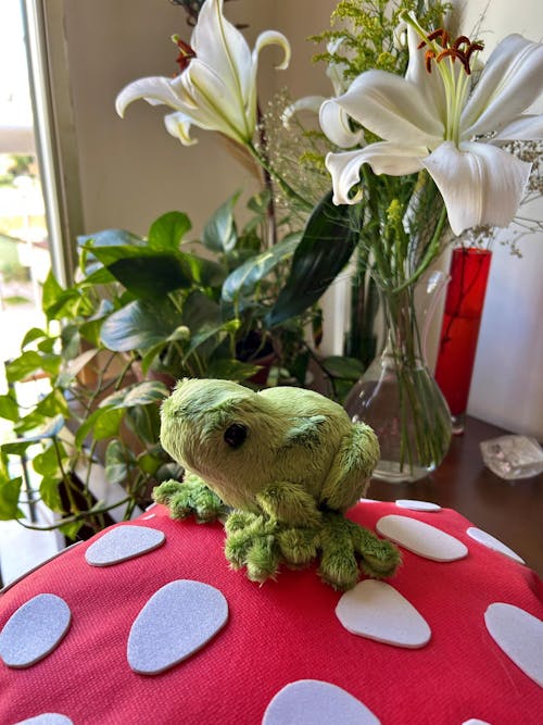 Frog Stuffed Animal Sewing Pattern - Digital Download